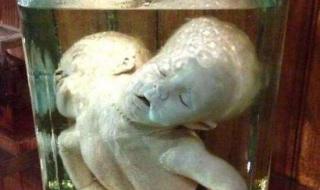 美国费城马特博物馆
