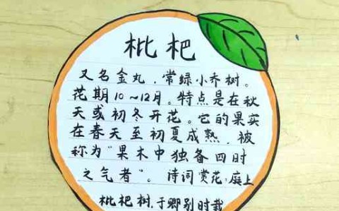 百科名片优化（百度百科名片制作）