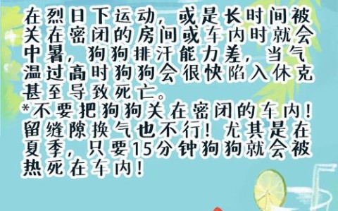 防中暑方法（中暑了怎么治疗）