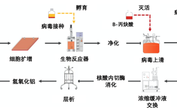 疫苗工作原理（疫苗原理通俗）