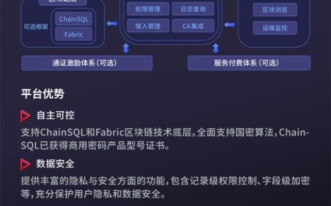 区块链存证应用（区块链存证的典型应用有哪些）