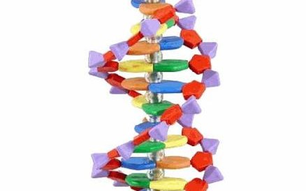 DNA双螺旋结构（dna双螺旋结构的特点是什么）