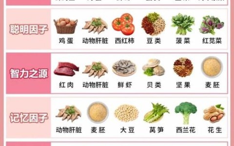 营养素分类（营养素分类三大类）