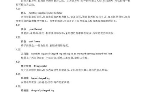 术语标准化（术语标准化滞后是什么意思）