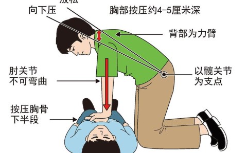 心肺复苏（心肺复苏的有效指征）