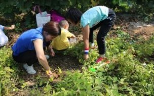 国庆和中秋节同一天多少年一次 中秋逢国庆多少年一次