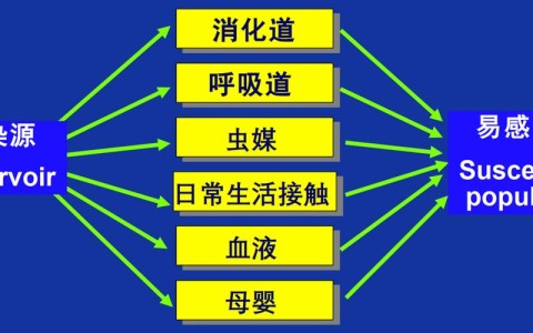 传染病三环节（传染病三环节两因素）