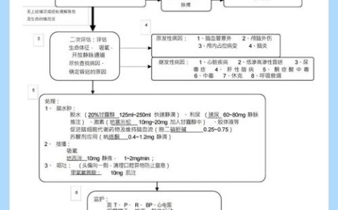 急救措施（急救措施的正确步骤）