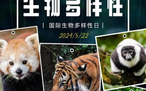 生物多样性（生物多样性的实质是什么）