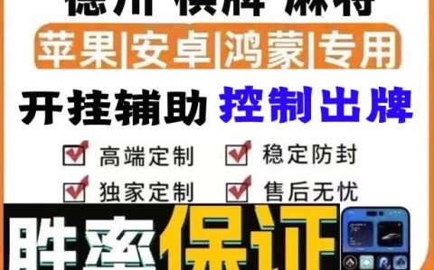 揭秘透视挂：德州wepoker外挂辅助插件”详细开挂教程