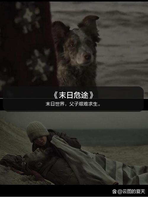 末日生存（末日生存电影）
