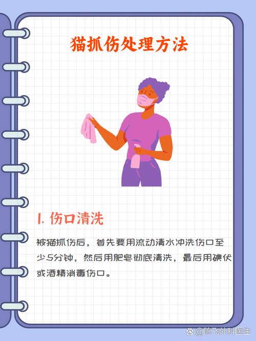 伤口处理(伤口如何处置)