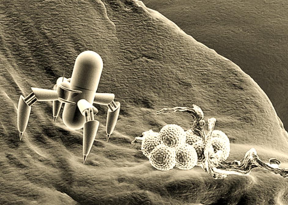 纳米技术应用（纳米技术应用场景有哪些）