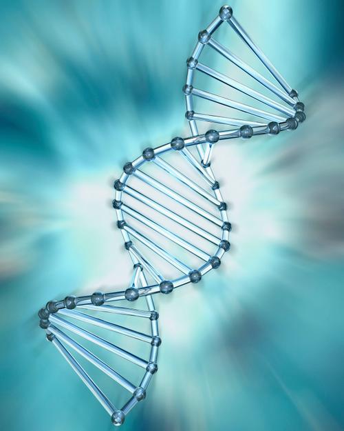 DNA双螺旋结构(dna双螺旋结构的特点是什么)