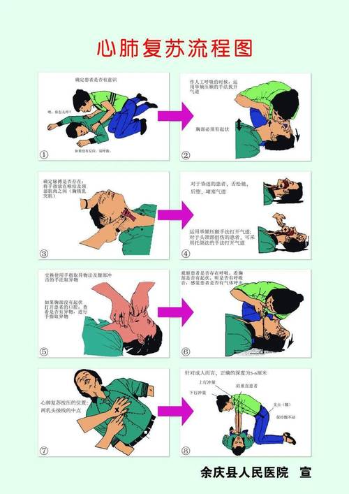 急救措施（急救措施的正确步骤）