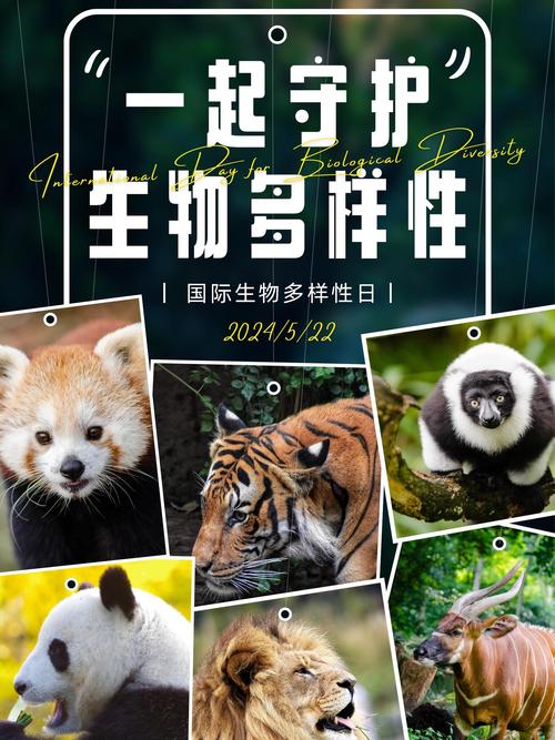 生物多样性（生物多样性的实质是什么）