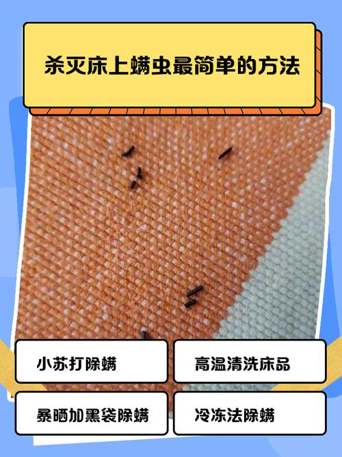 床品除螨（床品除螨虫最好的办法最有效的方法）