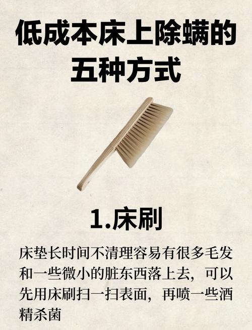 床品除螨（床品除螨虫最好的办法最有效的方法）