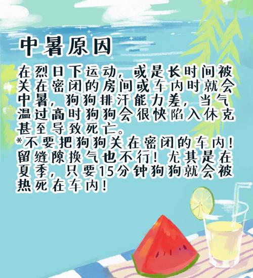 防中暑方法(中暑了怎么治疗)