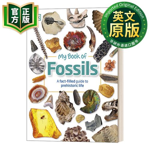 恐龙化石\（恐龙化石英语）