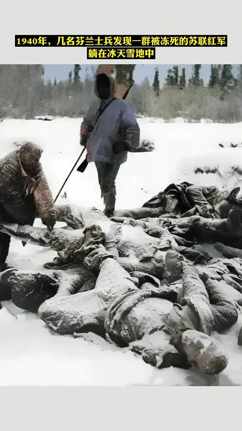 冷战关键事件（冷战期间发生的事件）